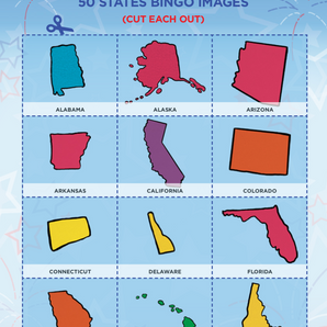 Picture Bingo - 50 States Junior